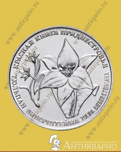 1 рубль 2019 Приднестровье - Тюльпан биберштейна (UNC)