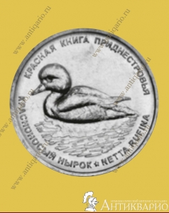 1 рубль 2023 Приднестровье - Красноносый нырок