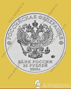 25  2024 - 