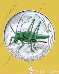 5  2024  - 