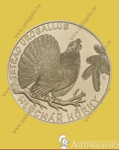 5  2024  - 