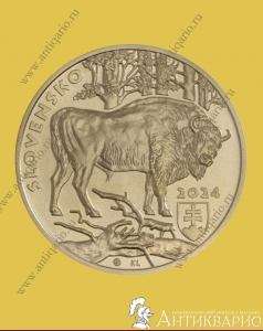 5  2024  - 