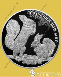   - 25  2023  / , 