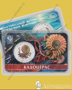  - 2025  ( 12)
