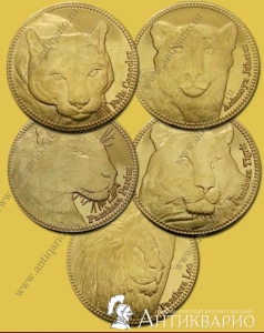  5  -  , 