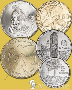  5  -    