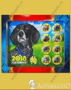 Серия сувенирных монет Год собаки 2018 в планшете
