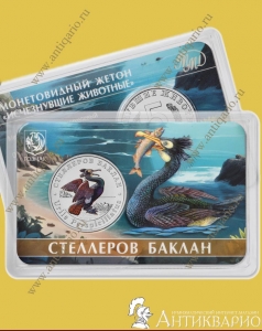   - 2025  ( 11)