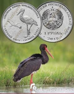 ���. ����: 1 ����� 2019 ������� ����� ������ ���� �������������