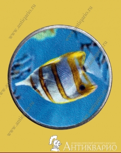 . :  5   -    () 2020 