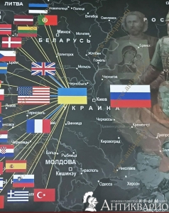 . :   2022  