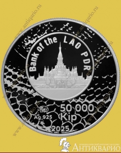 . :    2025    -  50000   Ai ()