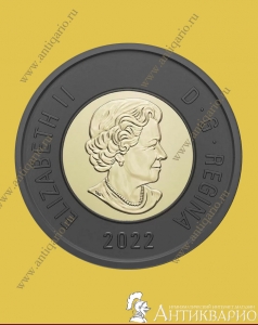 . :  2  2022     II